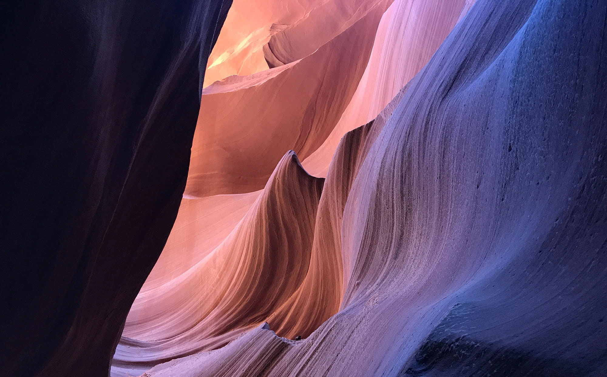 Outsmarted by gold…